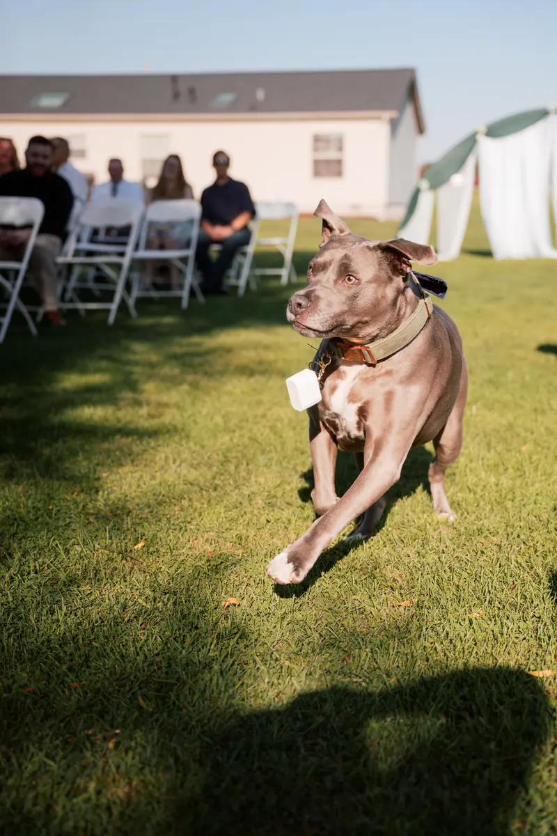 Wedding preview, cinematic outdoor portrait