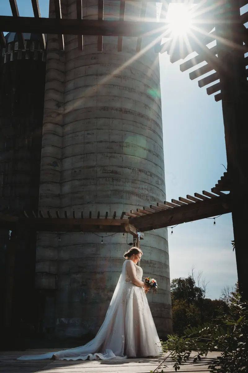 Bride and bridesmaids portrait, elegant and joyful